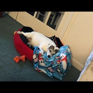 Meet your Posher, Francesca